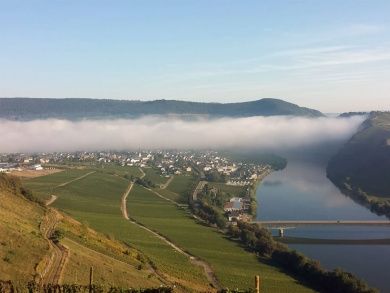 Ferienhaus Weitblick Mosel