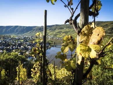 Ferienhaus Weitblick Mosel