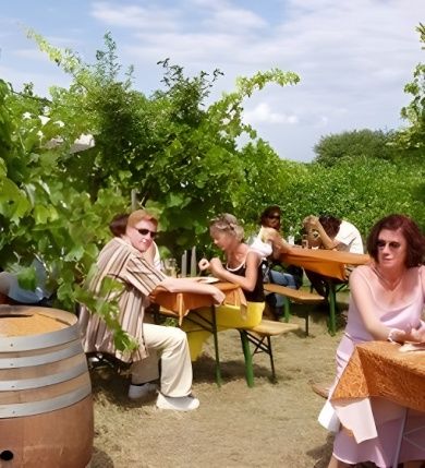 Ferienwohnungen & Weingut Becker - Heißbühlerhof