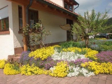 Haus Eybergblick - Dahner Felsenland - Pfälzer Wald