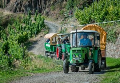 Gästehaus und Weingut Erich Serwazi