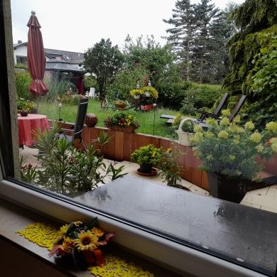 Ferienwohnung Sonnenblume mit Sauna, Garten, Liegewiese. Last Minute!