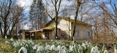                                                                                                                    Blockhütten Hohenseelbachskopf