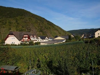 Ferienweingut Hugo Friederich & Sohn