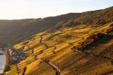 Wein und Ferienhaus Koch