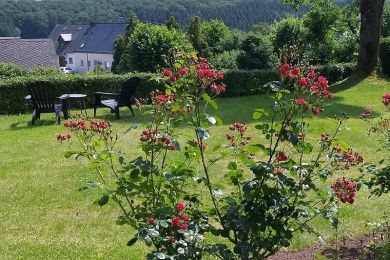 Appartement Eule im Haus Eifelstein