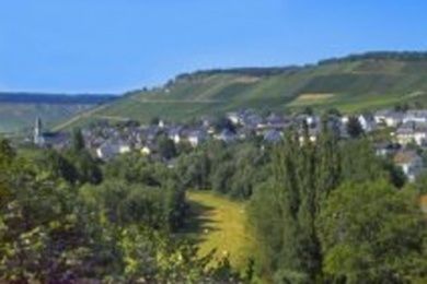 Ferienpension Schäfer am Honigberg bei Bernkastel-Kues - Mosel
