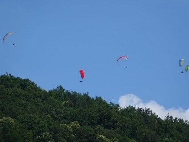Ferienwohnungen im Pfälzer Wald