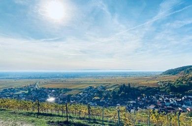 Ferienwohnung HALBSTÜCK | Riesling
