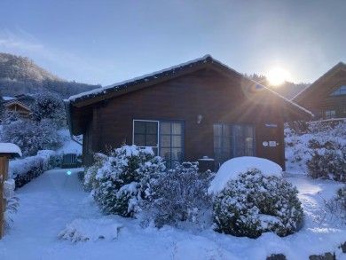 Ferienhaus Waldsee