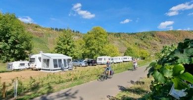 Moselcampingplatz Wolf