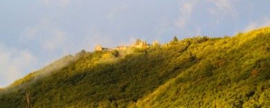 Ferienweingut Schmitzer-Julier