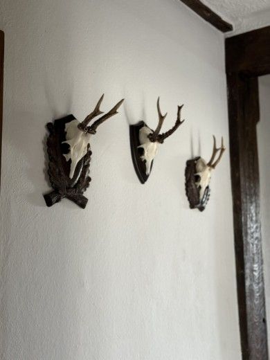 Ferienwohnungen Altes Zehnthaus Geierlay