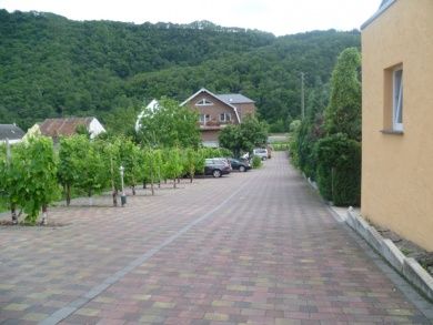Ferienweingut Kreuz-Bauer in Minheim an der Mosel
