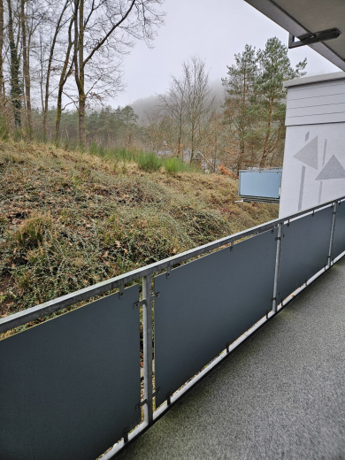 Ferienwohnung im Dahner Felsenland Familie Anton