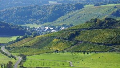 Ferienhaus Altes Winzerhaus Am Frohnbach am Weingut Gorges-Müller