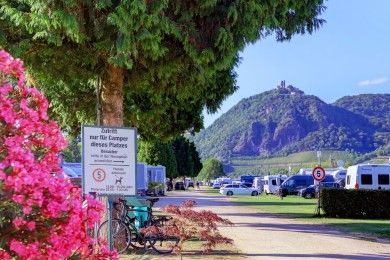 Rheincamping Siebengebirgsblick