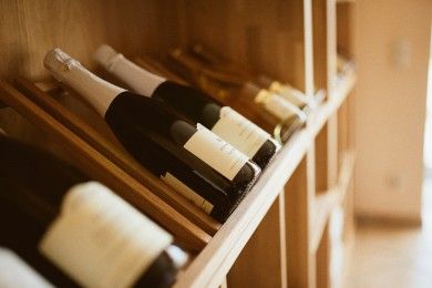 Urlaub auf dem Winzerhof