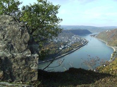 Ferienwohnung Rheinblick 1