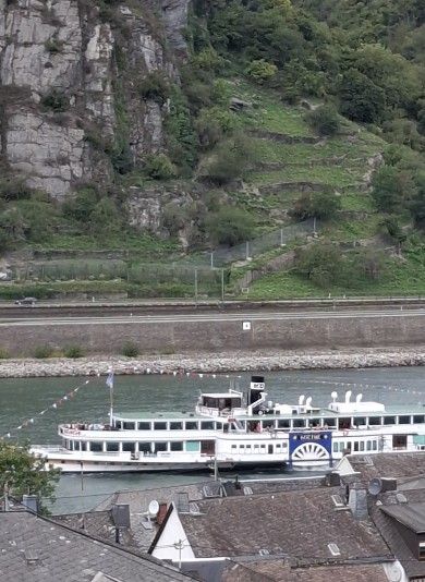 Ferienwohnung Rheinblick 1