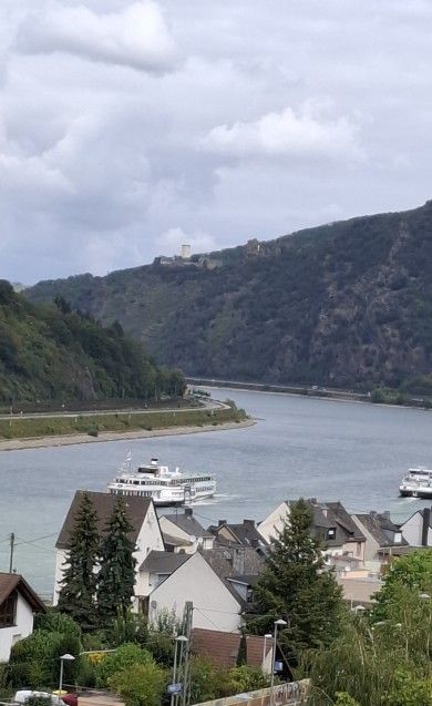 Ferienwohnung Rheinblick 1