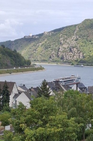 Ferienwohnung Rheinblick 1