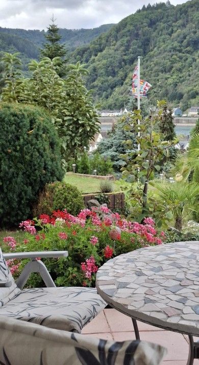 Ferienwohnung Rheinblick 1