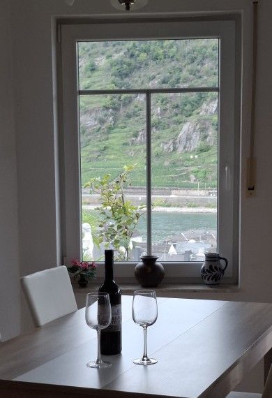 Ferienwohnung Rheinblick 1