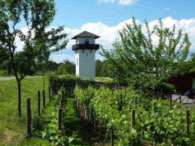 Limesturm Hillscheid