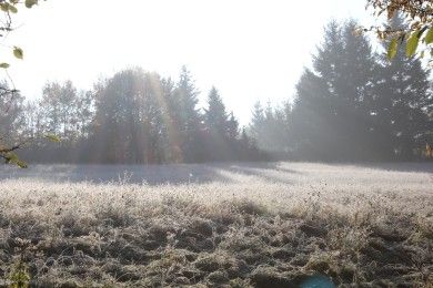 Campingplatz Ochsenbusch Park