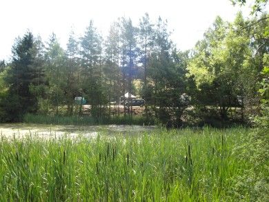 Campingplatz Ochsenbusch Park