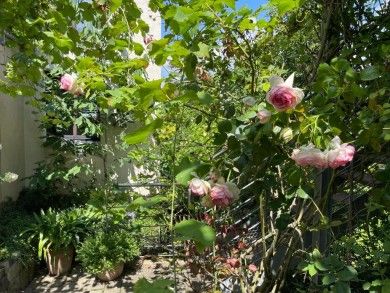 Boutique-Guesthouse Jugendstil-Hof