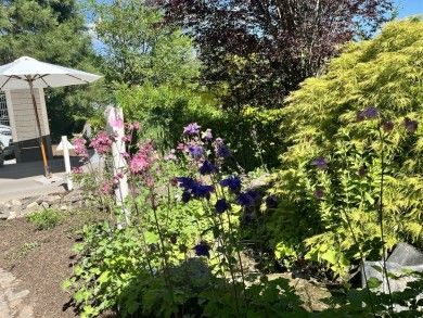 Urlaub für Körper und Geist - Ferienwohnung 