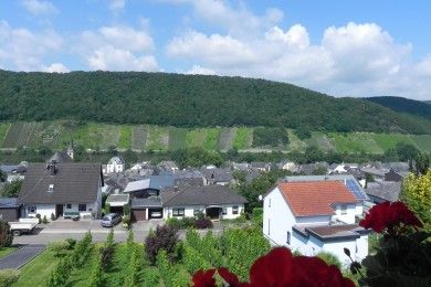 Ferienwohnung  TRAUMBLICK  Nr 12  im Haus Berghof    einzigartiger Blick ins Moseltal  kostenloses WLAN