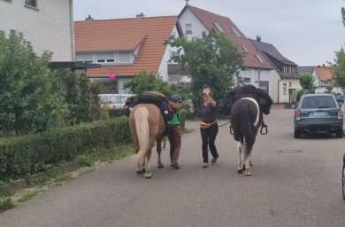 Wanderreiten auf der Schwäbischen Alb