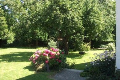 Im Grünen (kleine FeWo in Eriskirch)