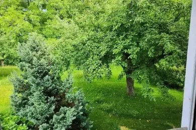 Im Grünen (kleine FeWo in Eriskirch)
