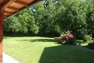 Im Grünen (kleine FeWo in Eriskirch)
