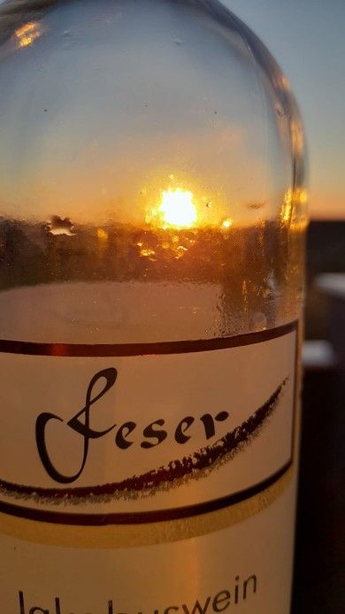 FamilienWeingut Feser mit Vinothek, ****Ferienwohnungen & Erlebnis
