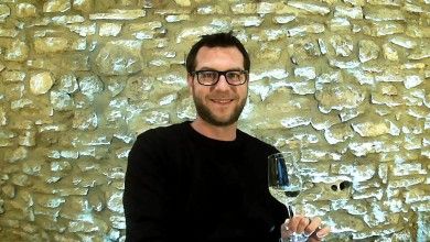 FamilienWeingut Feser mit Vinothek, ****Ferienwohnungen & Erlebnis