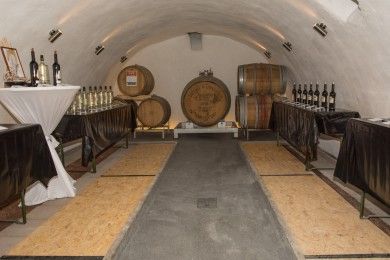 FamilienWeingut Feser mit Vinothek, ****Ferienwohnungen & Erlebnis