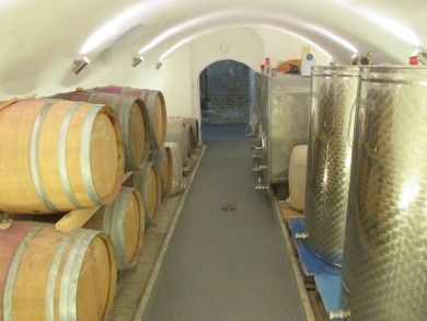 FamilienWeingut Feser mit Vinothek, ****Ferienwohnungen & Erlebnis
