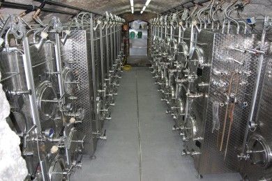 FamilienWeingut Feser mit Vinothek, ****Ferienwohnungen & Erlebnis