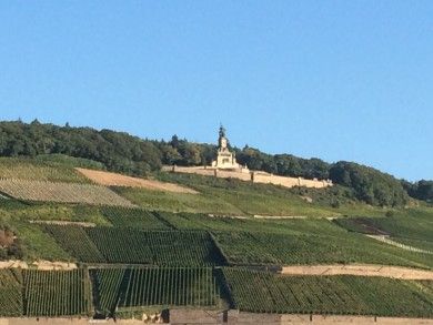 FamilienWeingut Feser mit Vinothek, ****Ferienwohnungen & Erlebnis
