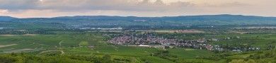 FamilienWeingut Feser mit Vinothek, ****Ferienwohnungen & Erlebnis