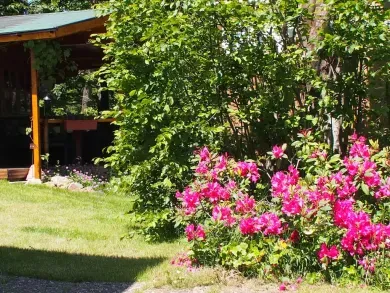 Ferienhaus Auf der Ebest