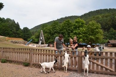 Wild- und Wanderpark bei Silz