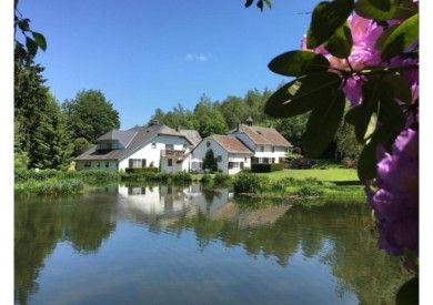 Hotel & Restaurant Le Vieux Moulin