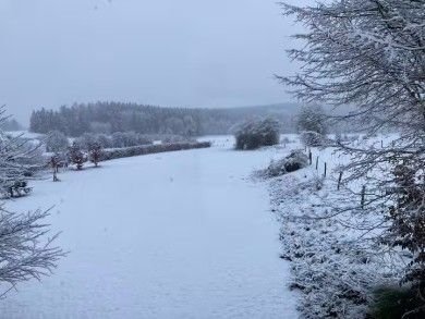 Ferienwohnung Mitten in der Natur