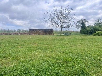 Weingut & Gästehaus Mühlhäuser an der südlichen Weinstraße